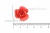 Украшение "Розы малые №1" 20мм - купить в Уссурийске. Цена: 32.49 руб.
