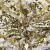 Трикотажное полотно, Сетка с пайетками, шир.130 см, #315, цв.-белый/золото - купить в Уссурийске. Цена 693.39 руб.