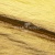 Текстильный материал "Диско"#1805 с покрытием РЕТ, 40гр/м2, 100% полиэстер, цв.5-золото - купить в Уссурийске. Цена 412.36 руб.