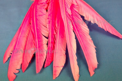 Декоративный Пучок из перьев, перо 25см/розовый - купить в Уссурийске. Цена: 14.40 руб.