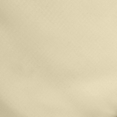 Ткань подкладочная Таффета 14-1014, антист., 53 гр/м2, шир.150см, цвет бежевый - купить в Уссурийске. Цена 62.37 руб.