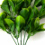 Трава искусственная -1, шт (эвкалипт лист 32 см/8 см)				 - купить в Уссурийске. Цена: 169.93 руб.