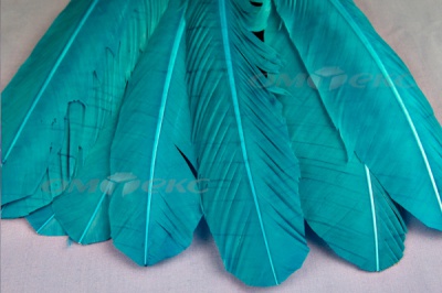Декоративный Пучок из перьев, перо 24см/голубой - купить в Уссурийске. Цена: 12.19 руб.