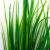 Трава искусственная -2, шт (осока 41см/8 см)				 - купить в Уссурийске. Цена: 104.57 руб.