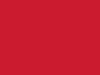 Сетка подкладочная красный, 60г/м2 (10 м/кг) - купить в Уссурийске. Цена 885.73 руб.