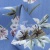 Плательная ткань "Фламенко" 12.1, 80 гр/м2, шир.150 см, принт растительный - купить в Уссурийске. Цена 241.49 руб.