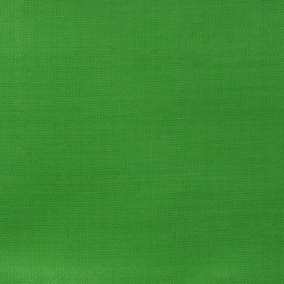 Ткань подкладочная Таффета 17-6153, 48 гр/м2, шир.150см, цвет трава - купить в Уссурийске. Цена 54.64 руб.