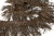 008-коричневый, Бахрома арт.001 шир.10см (упак.12+/-0,5м) - купить в Уссурийске. Цена: 1 017.33 руб.