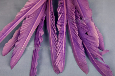 Декоративный Пучок из перьев, перо 25см/фиолетовый - купить в Уссурийске. Цена: 12.19 руб.