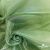 Ткань органза, 100% полиэстр, 28г/м2, шир. 150 см, цв. #27 зеленый - купить в Уссурийске. Цена 86.24 руб.