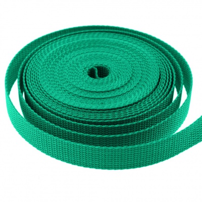 Стропа текстильная, шир. 25 мм (в нам. 50+/-1 ярд), цвет яр.зелёный - купить в Уссурийске. Цена: 397.52 руб.