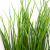 Трава искусственная -4, шт  (осока 50 см/8 см  7 листов)				 - купить в Уссурийске. Цена: 130.73 руб.